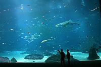 World & Travel: Georgia Aquarium, Pemberton Place, Atlanta, Georgia, United States