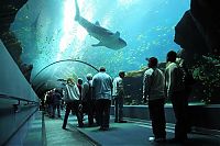 World & Travel: Georgia Aquarium, Pemberton Place, Atlanta, Georgia, United States