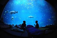 World & Travel: Georgia Aquarium, Pemberton Place, Atlanta, Georgia, United States