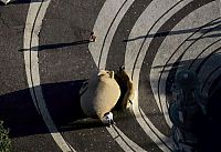 World & Travel: Bird's-eye view of Paris, France