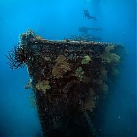 World & Travel: Fujikawa Maru, Truk Lagoon, Chuuk, Pacific, North of New Guinea