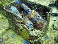 Trek.Today search results: Fujikawa Maru, Truk Lagoon, Chuuk, Pacific, North of New Guinea