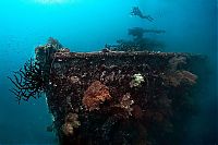 Fujikawa Maru, Truk Lagoon, Chuuk, Pacific, North of New Guinea