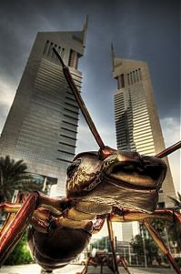 World & Travel: Dubai, United Arab Emirates