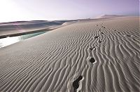 Trek.Today search results: Lençóis Maranhenses National Park, Maranhão, Brazil