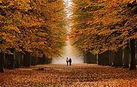 World & Travel: autumn world