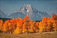 Trek.Today search results: autumn world