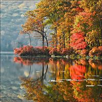 Trek.Today search results: autumn world