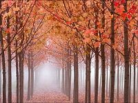 World & Travel: autumn world