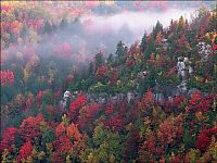 Trek.Today search results: autumn world