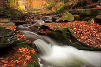 Trek.Today search results: autumn world