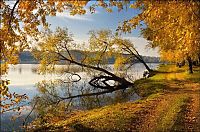 Trek.Today search results: autumn world