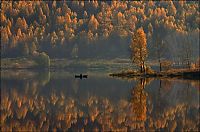 Trek.Today search results: autumn world