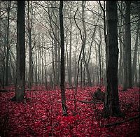World & Travel: National Geographic Photography