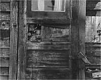 Trek.Today search results: History: The Great Depression by Dorothea Lange, 1939-1943, United States