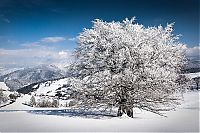 World & Travel: winter photography