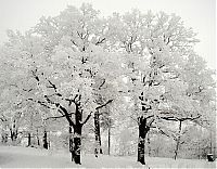 Trek.Today search results: winter photography