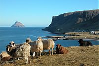 Trek.Today search results: Lítla Dímun, Faroe Islands, Norwegian Sea