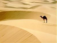 World & Travel: desert sand dunes landscape photography