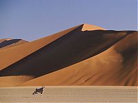 World & Travel: desert sand dunes landscape photography