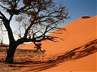 Trek.Today search results: desert sand dunes landscape photography