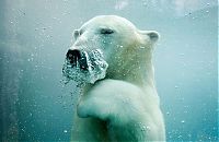 World & Travel: National Geographic Photography