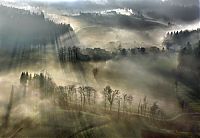 World & Travel: fog photography