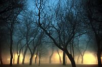 World & Travel: fog photography