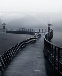 World & Travel: fog photography