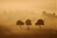 World & Travel: fog photography