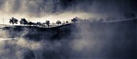 World & Travel: fog photography