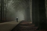 Trek.Today search results: fog photography