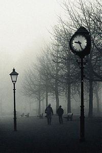 World & Travel: fog photography