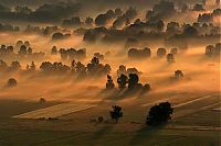 World & Travel: fog photography