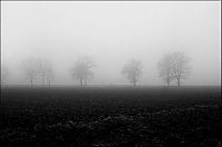 World & Travel: fog photography