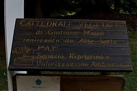 Trek.Today search results: Cattedrale Vegetale by Giuliano Mauri