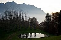 Trek.Today search results: Cattedrale Vegetale by Giuliano Mauri