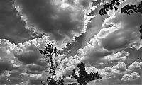 Trek.Today search results: clouds formation