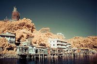 Trek.Today search results: Infrared photography, Hong Kong, China