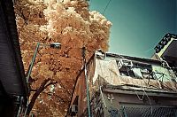 World & Travel: Infrared photography, Hong Kong, China