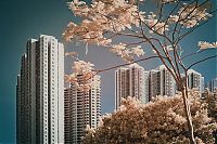 World & Travel: Infrared photography, Hong Kong, China