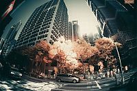 Trek.Today search results: Infrared photography, Hong Kong, China