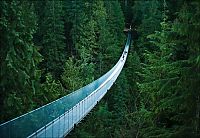Trek.Today search results: Capilano Suspension Bridge, British Columbia, Canada