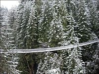 Trek.Today search results: Capilano Suspension Bridge, British Columbia, Canada