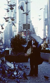 Trek.Today search results: History: New York City, 1980s, United States