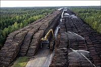 World & Travel: Timber in storage after Gudrun cyclone, Byholma, Sweden