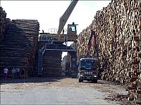 Trek.Today search results: Timber in storage after Gudrun cyclone, Byholma, Sweden