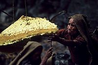 World & Travel: Honey hunters of Nepal by Diane Summers and Eric Valli