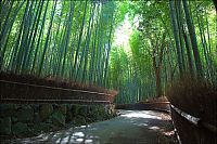 World & Travel: Sagano bamboo forest, Arashiyama (嵐山, Storm Mountain), Kyoto, Japan