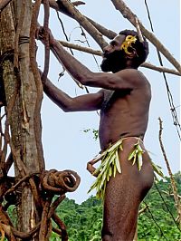 Land diving ritual, Pentecost Island, Vanuatu